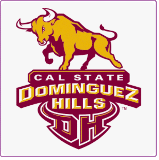 Partner Logo Name